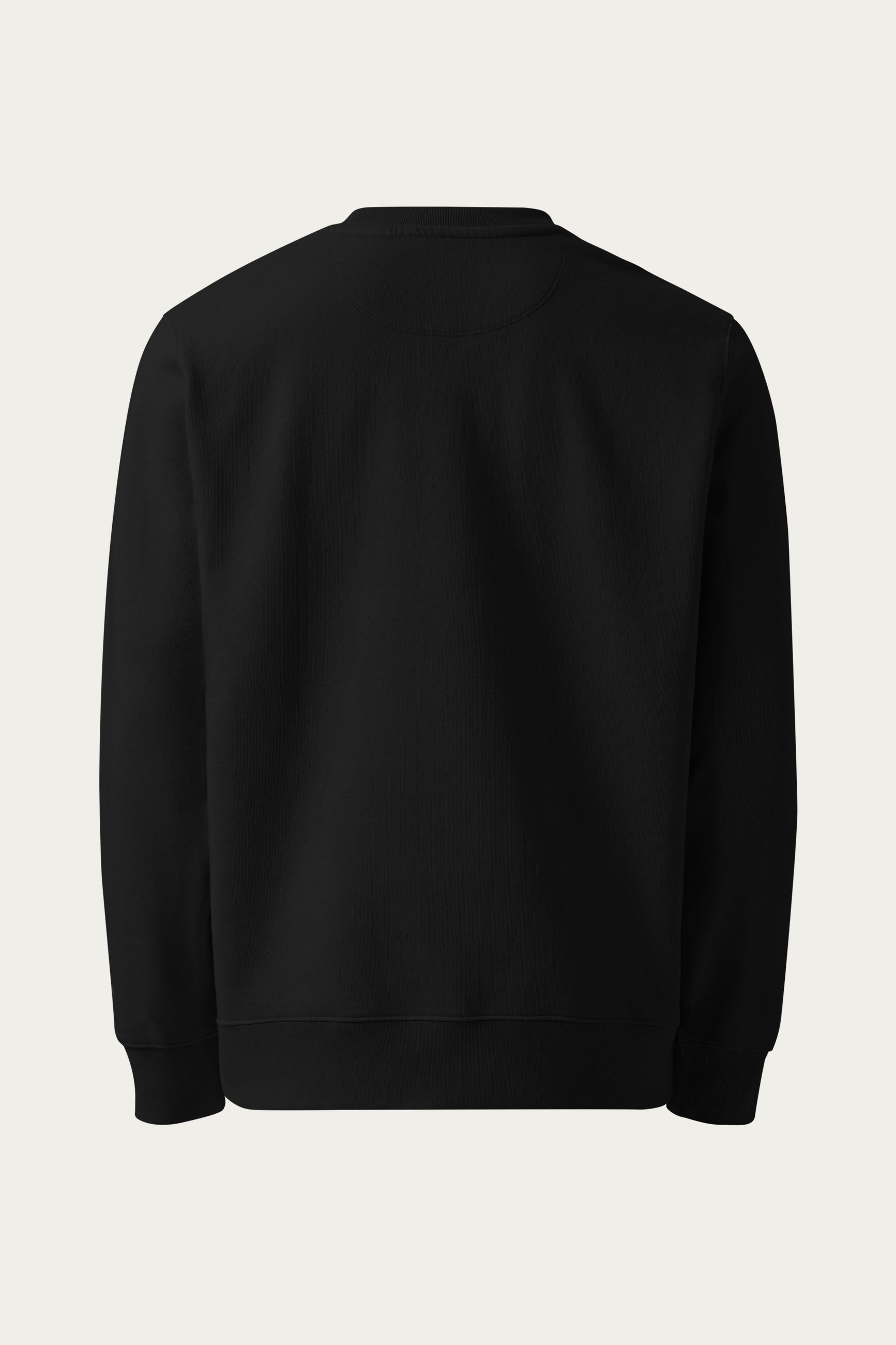 Andre Blunt organic cotton sweatshirt in black, back