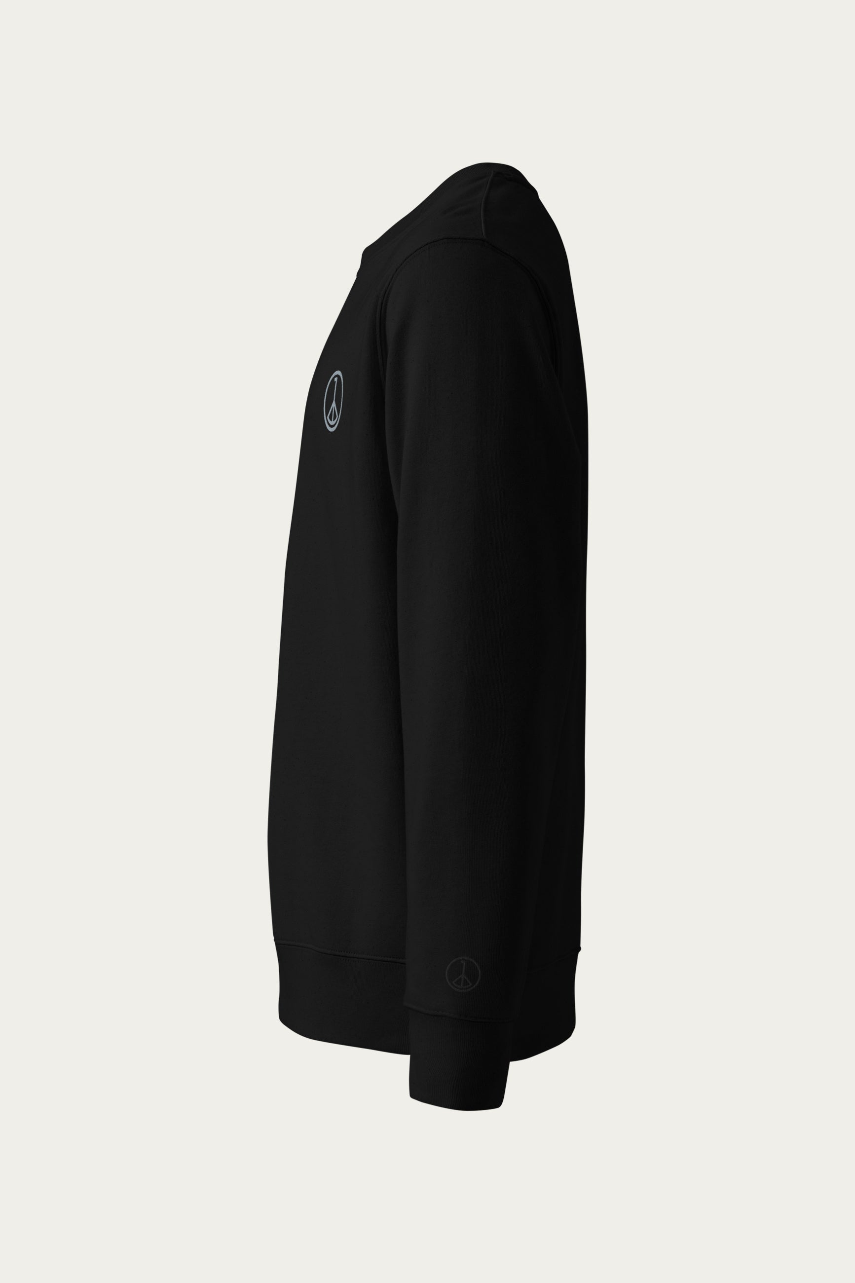 Andre Blunt organic cotton sweatshirt in black, side