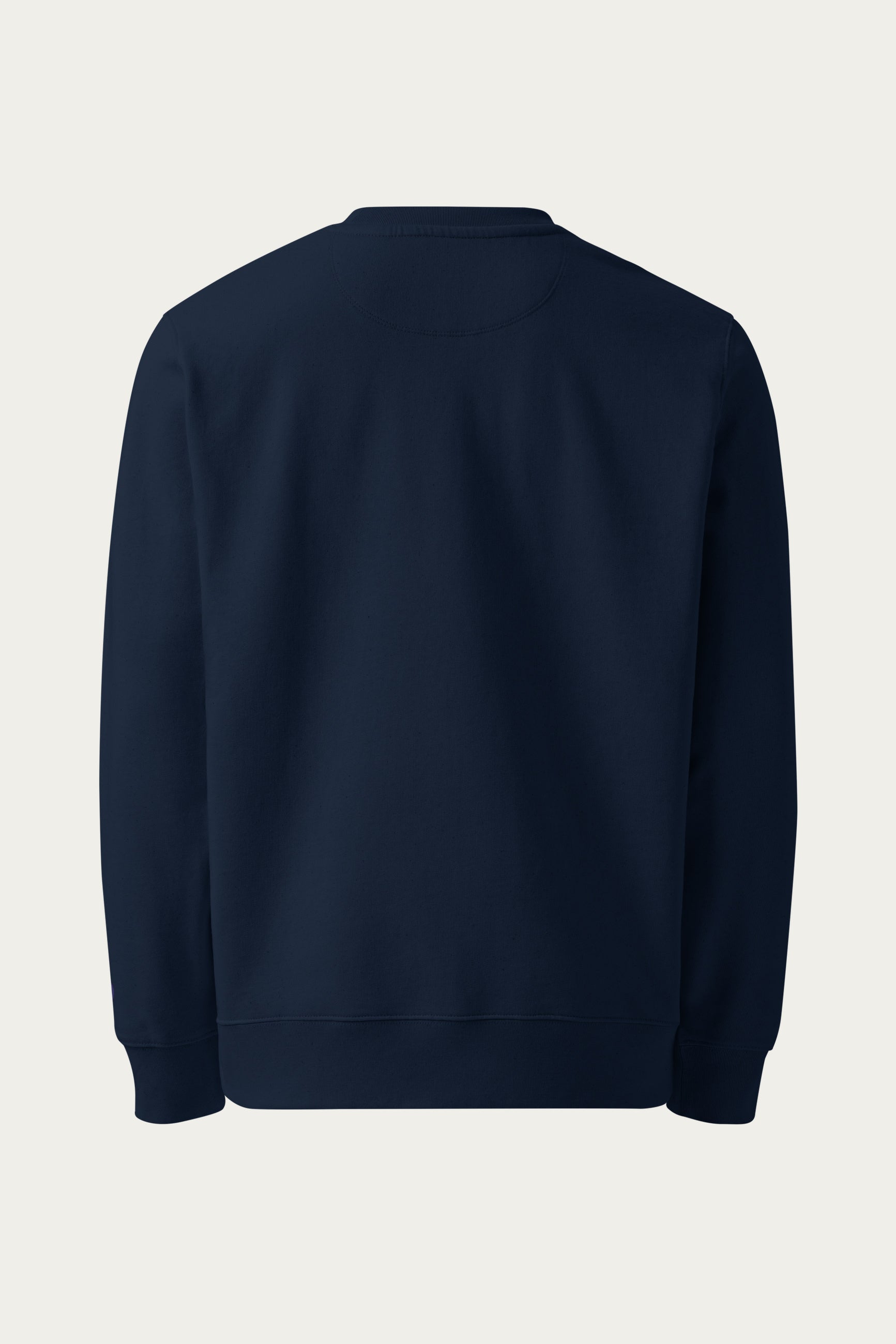 Andre Blunt organic cotton sweatshirt in navy, back