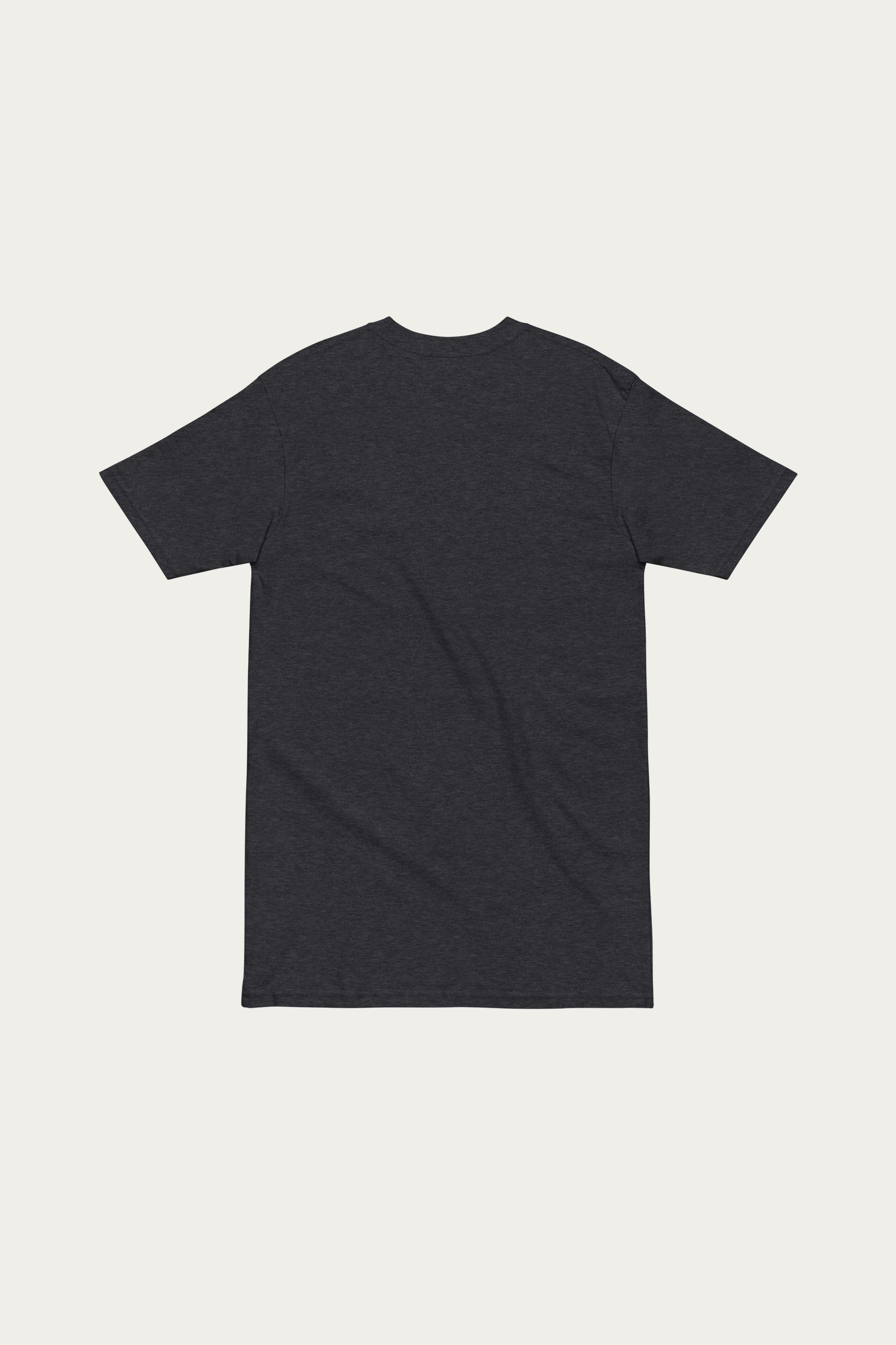 Andre Blunt heavyweight tee in charcoal, back