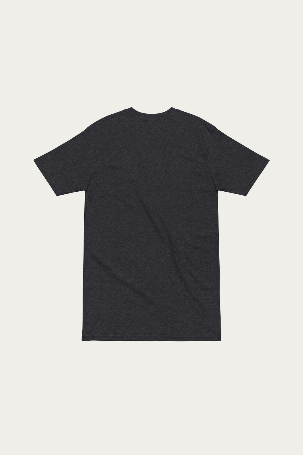 Heavyweight Tee, Charcoal by Andre Blunt, from the back, on a Cloud White ground