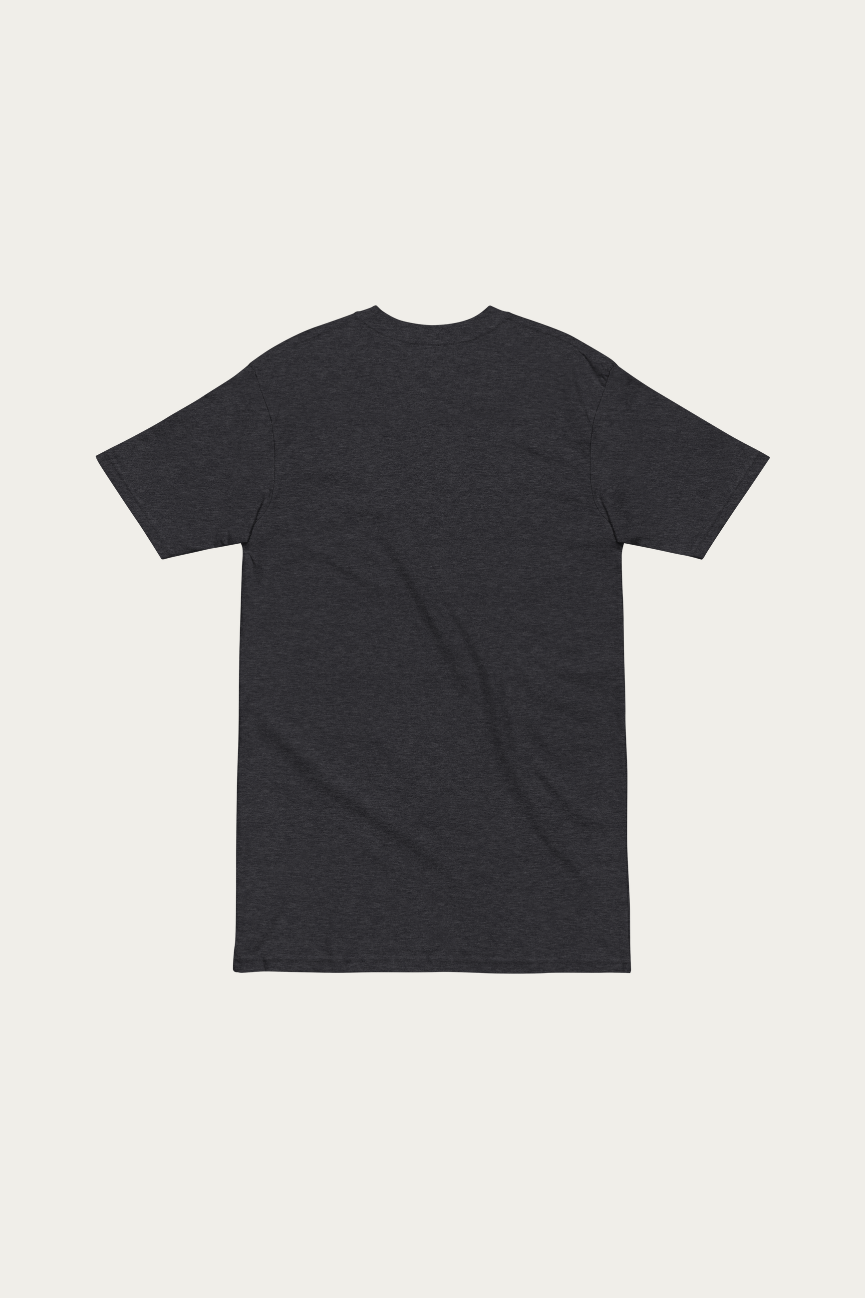 Heavyweight Tee, Charcoal by Andre Blunt, from the back, on a Cloud White ground