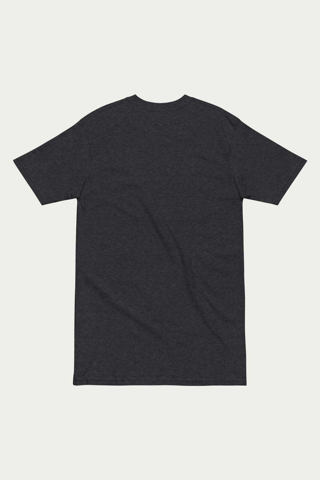 Heavyweight Tee, Charcoal by Andre Blunt, from the back, on a Cloud White ground