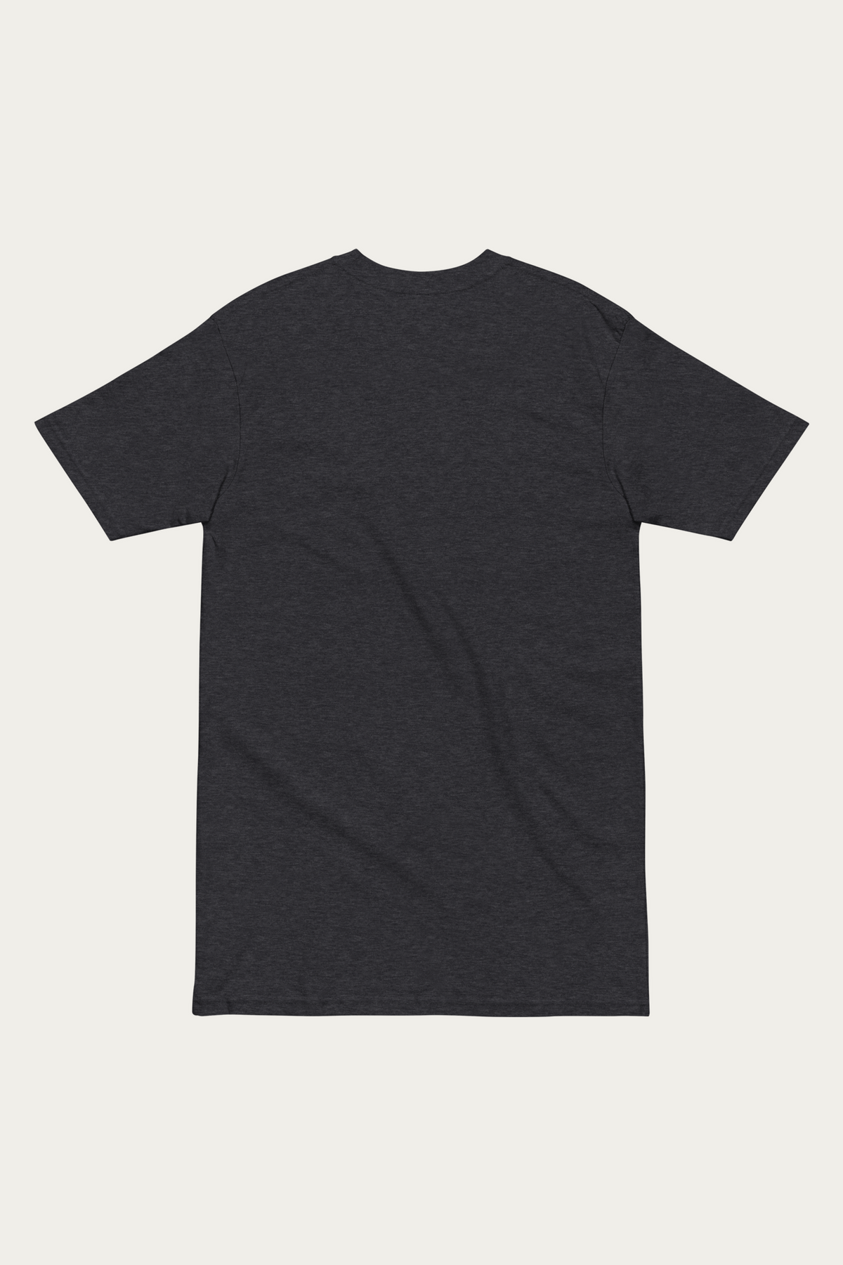 Heavyweight Tee, Charcoal by Andre Blunt, from the back, on a Cloud White ground