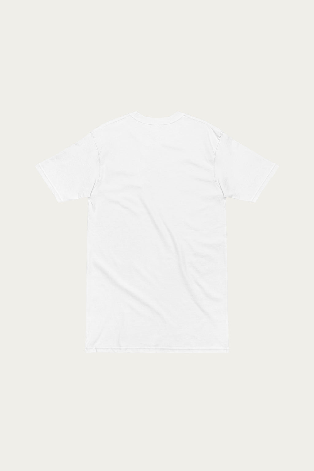Andre Blunt heavyweight tee in white, back