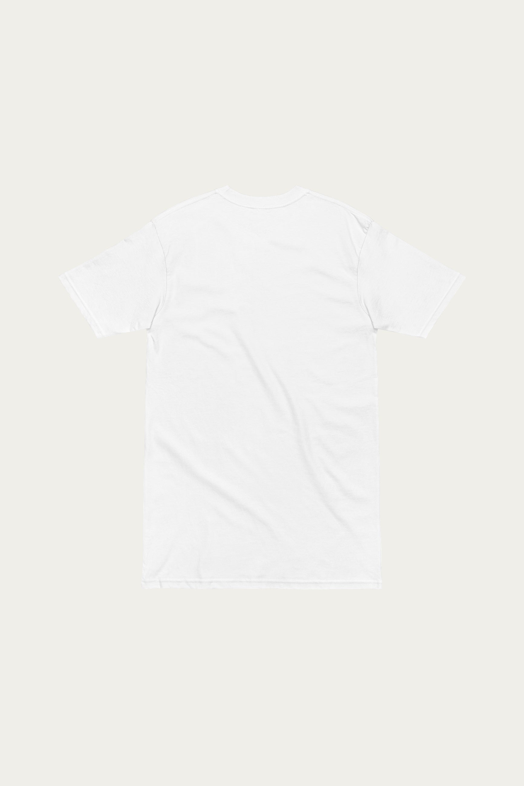 Andre Blunt heavyweight tee in white, back