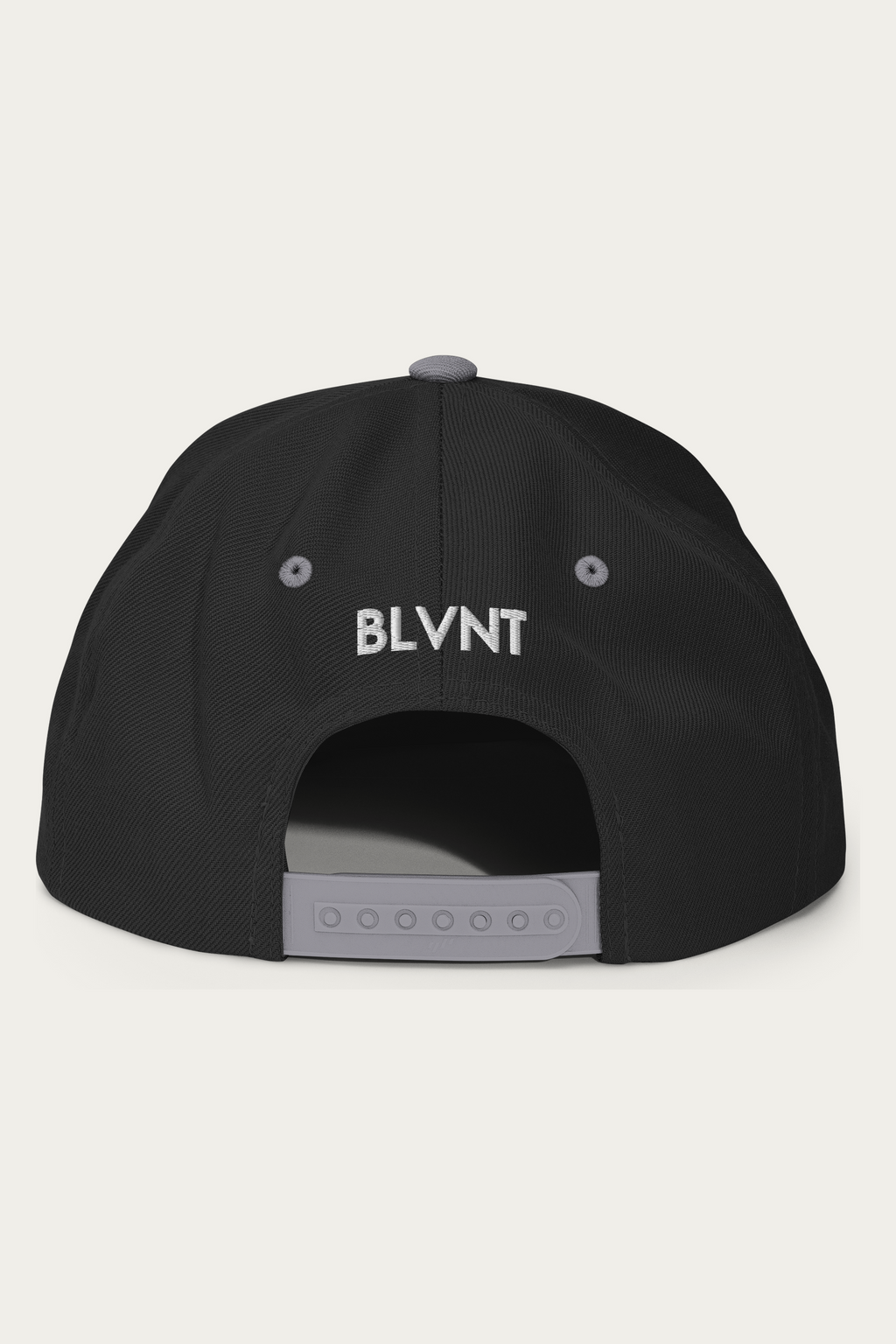 Snapback Hat, Black and Silver, back