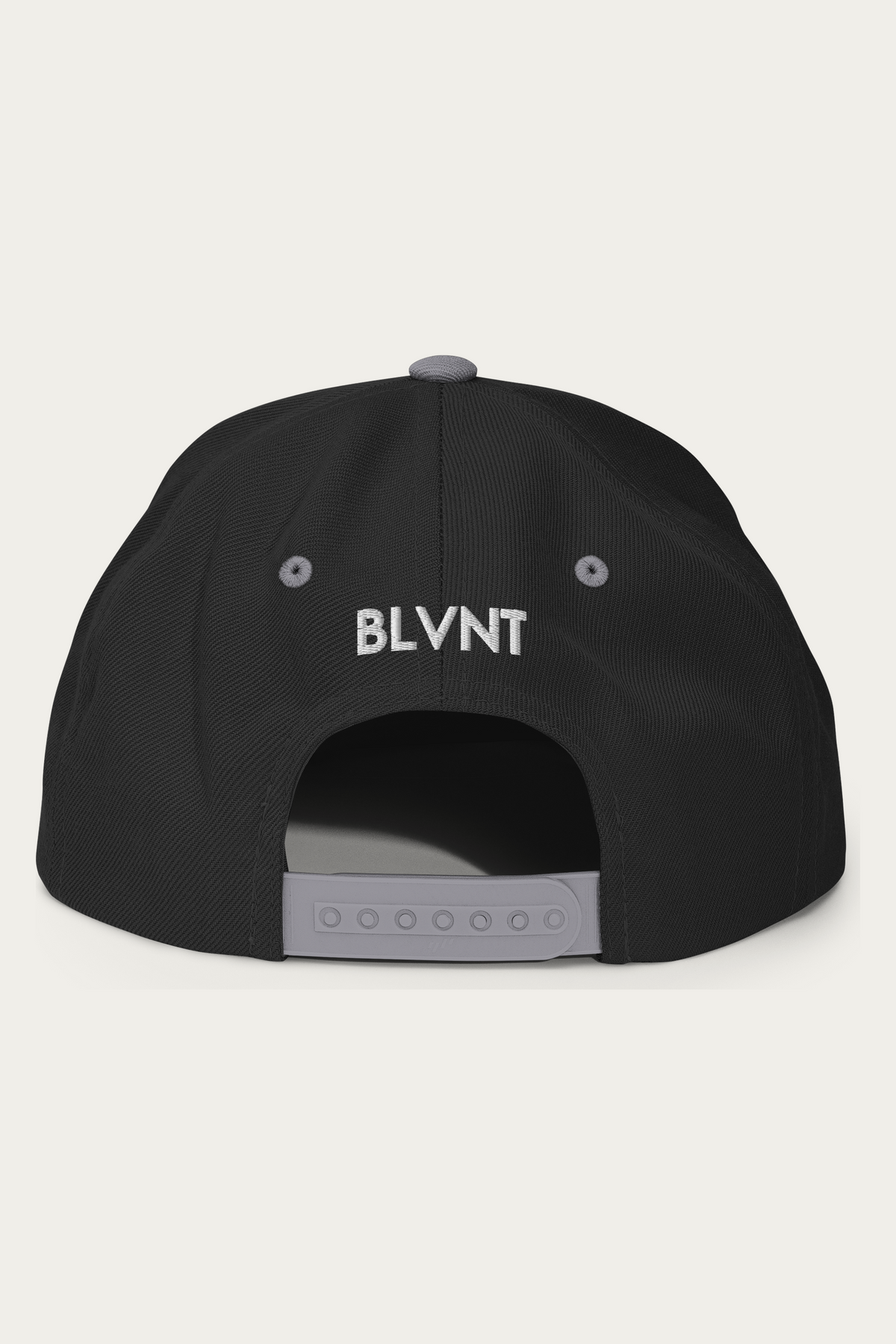 Snapback Hat, Black and Silver, back