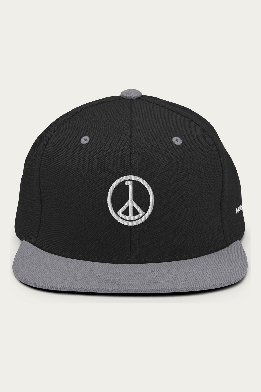Snapback Hat, Black and Silver, front