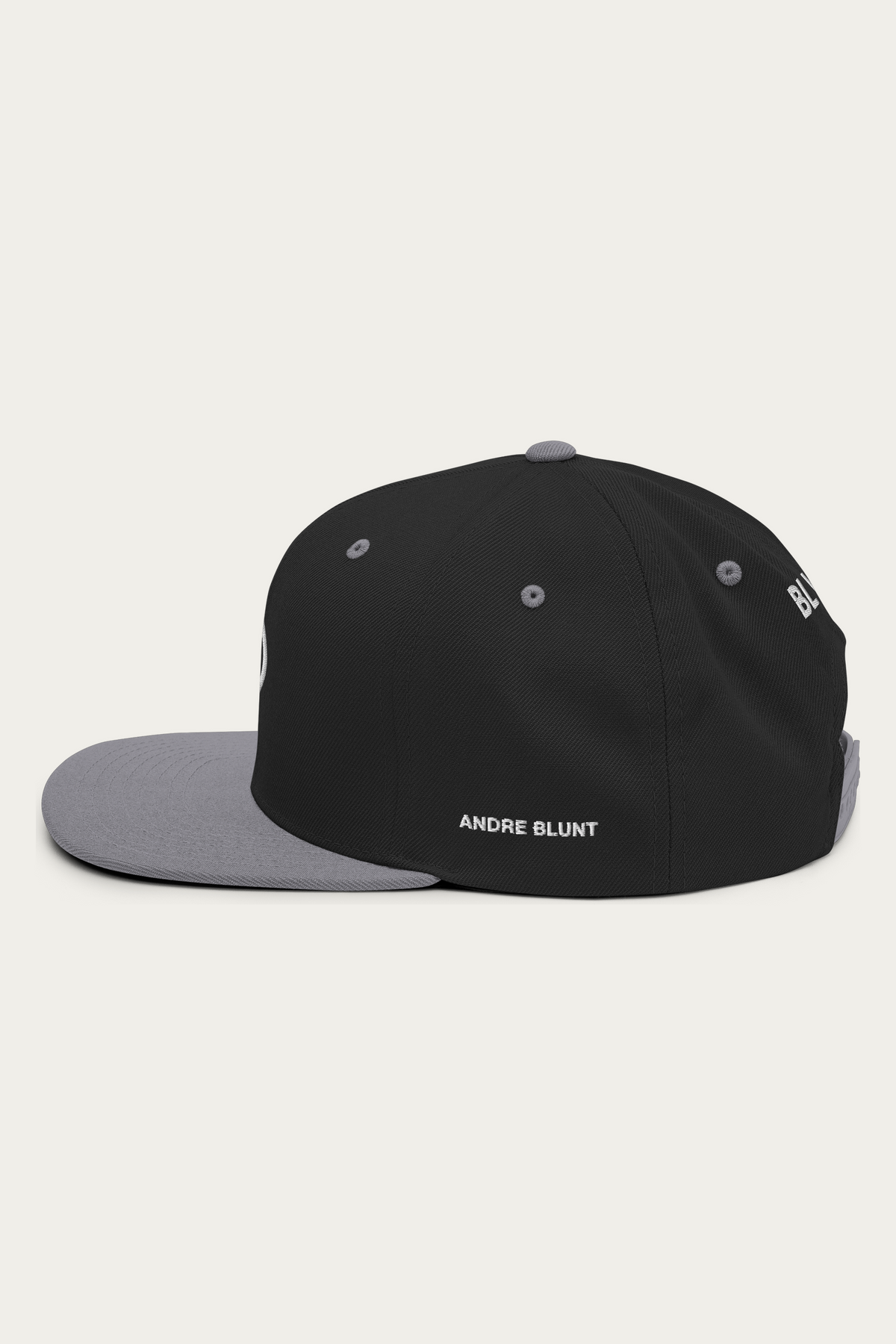 Snapback Hat, Black and Silver, left