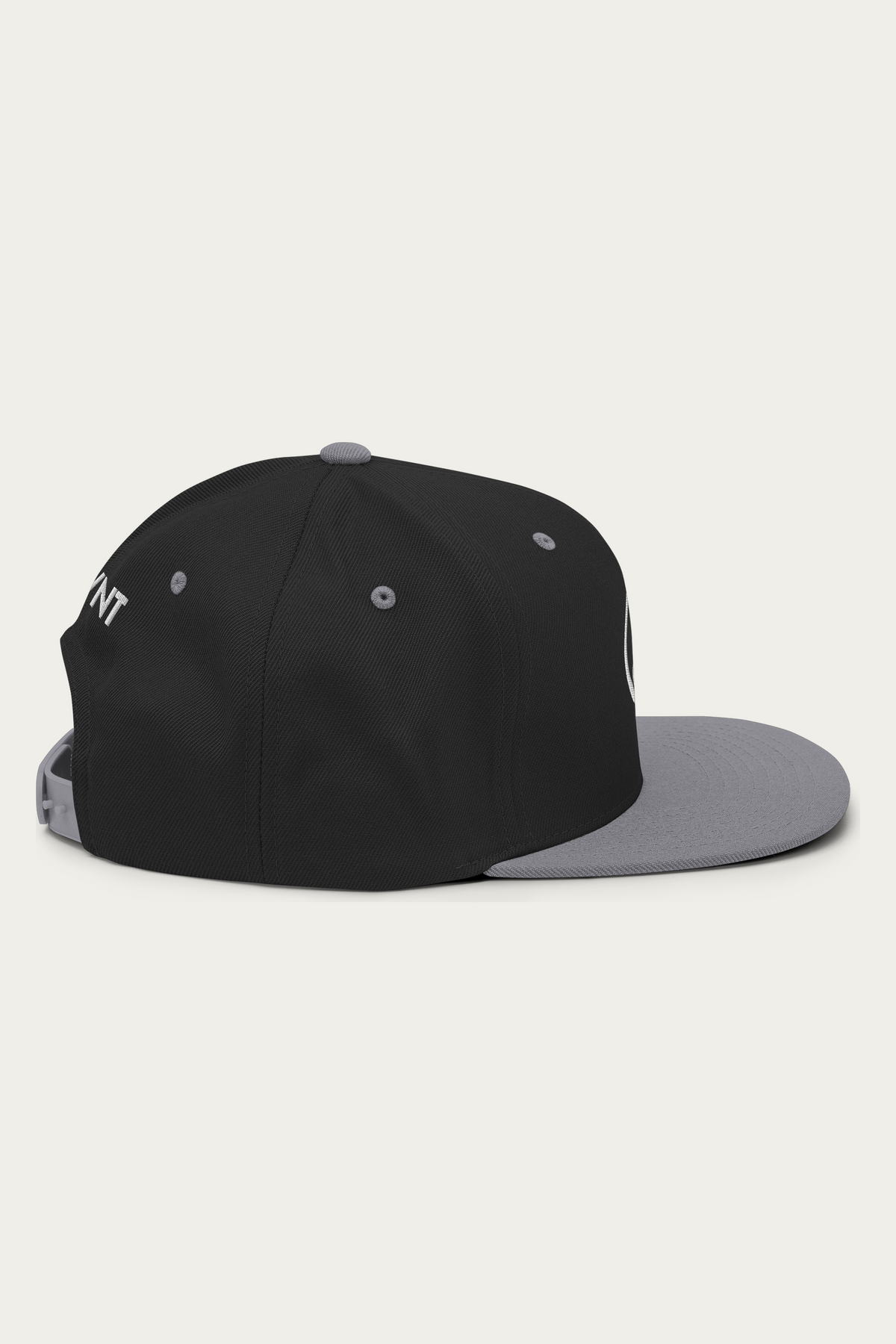Snapback Hat, Black and Silver, right