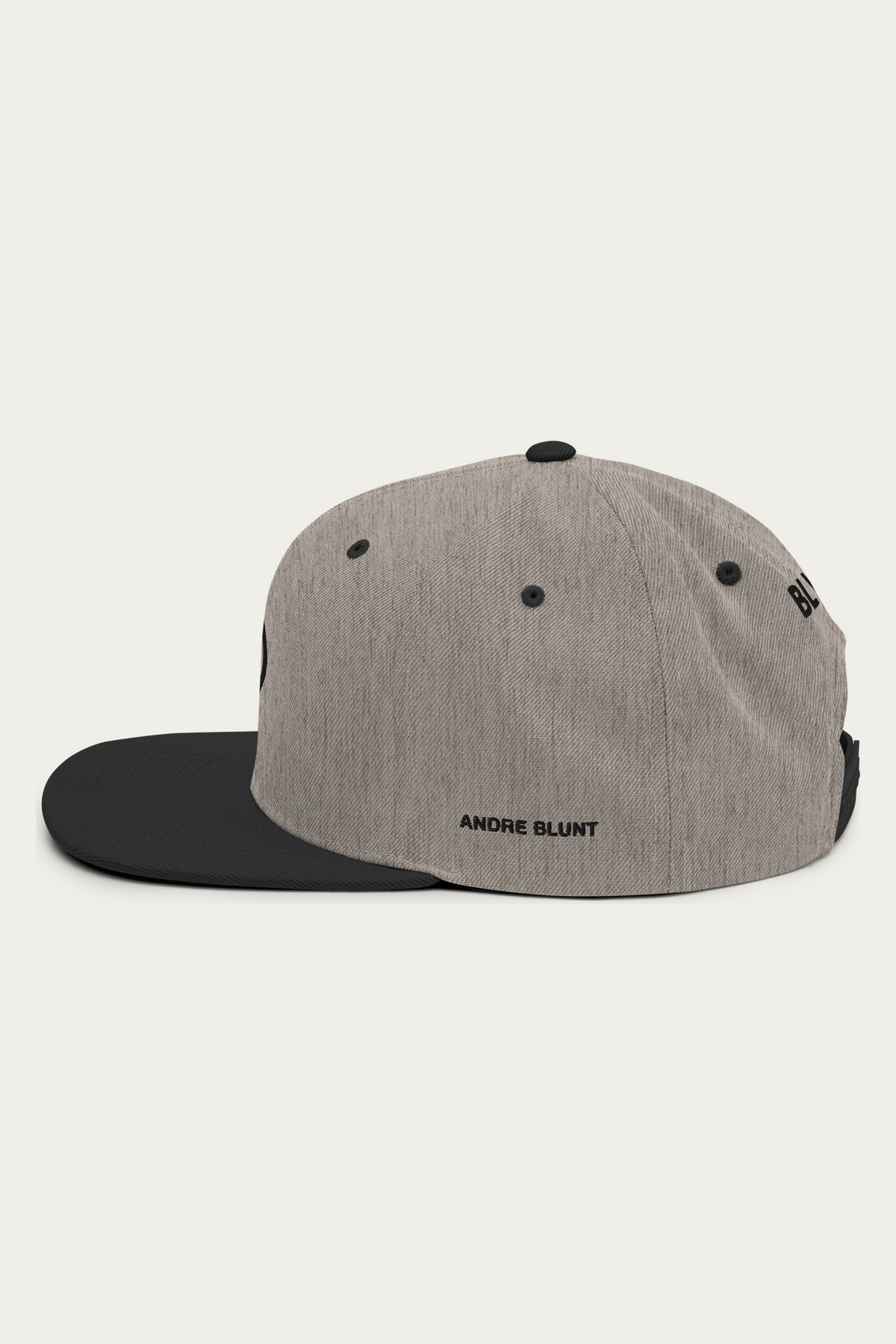 Snapback Hat, Heather and Black, left