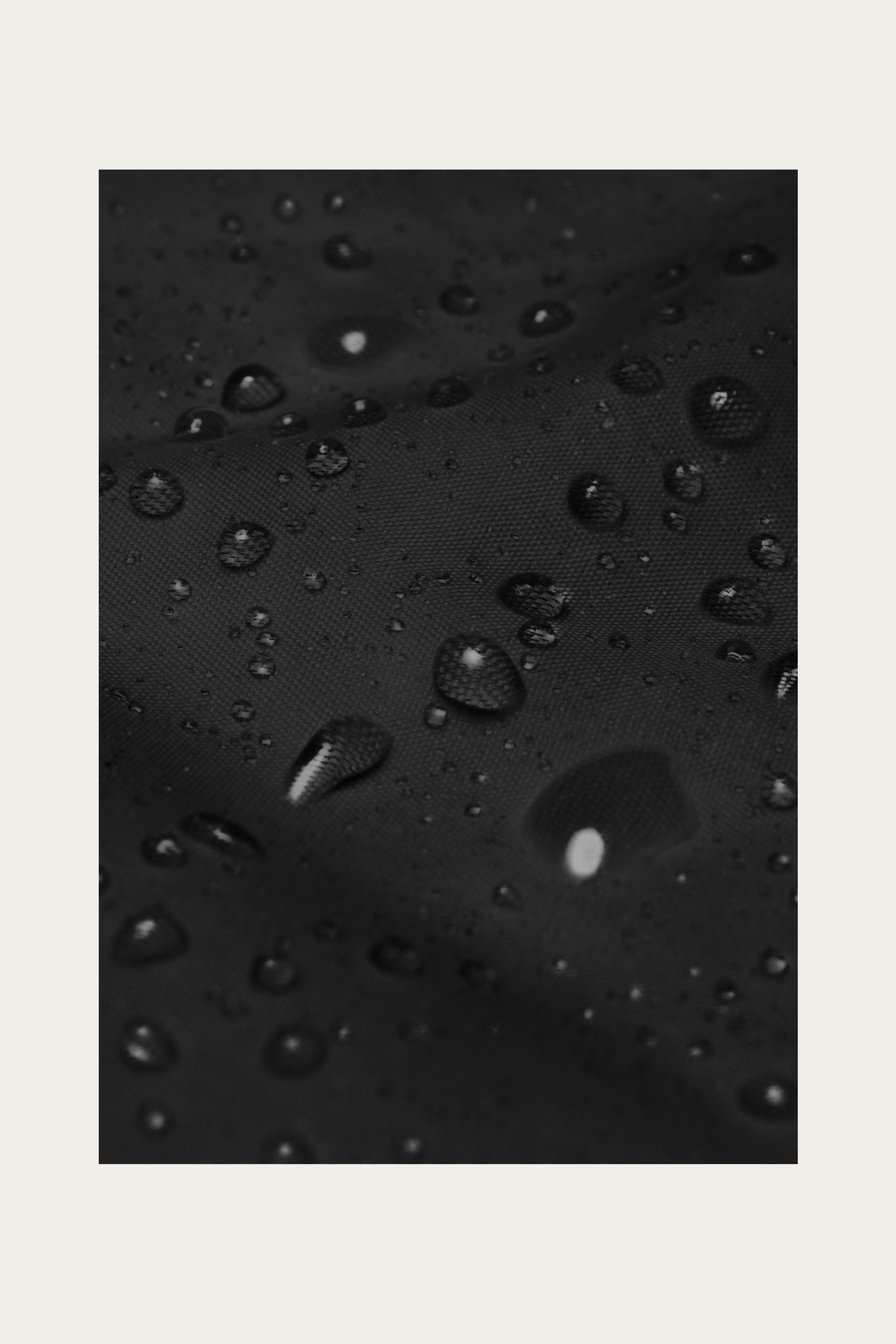 Windbreaker, Black by Andre Blunt, water beading on the shell, on a Cloud White ground