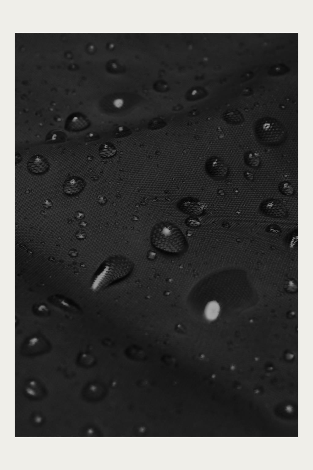 Windbreaker, Black by Andre Blunt, water beading on the shell, on a Cloud White ground