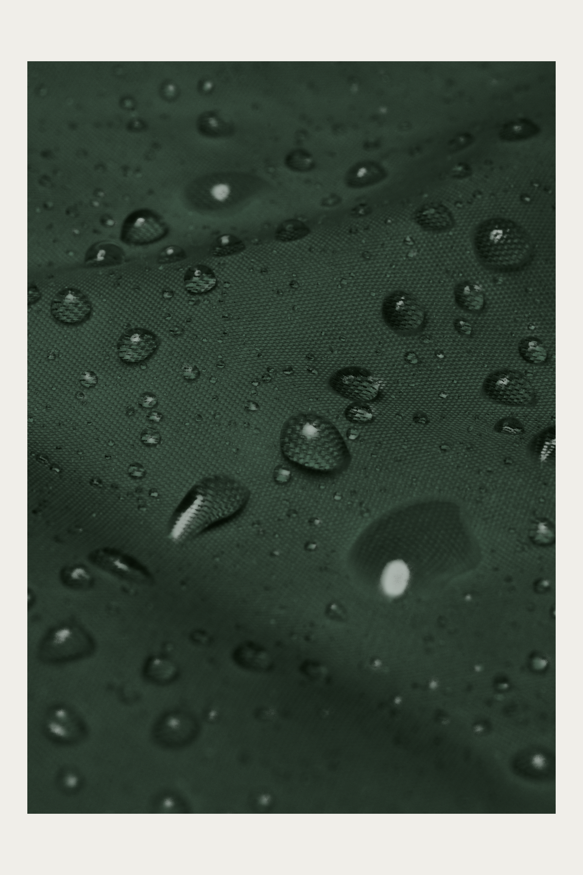 Windbreaker, Forest Green by Andre Blunt, water beading on the shell, on a Cloud White ground